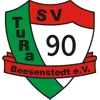 SV TuRa 90 Beesenstedt II