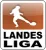31 B-Junioren, Landesliga, Staffel 4