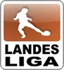 51 D-Junioren, Landesliga, Staffel 4