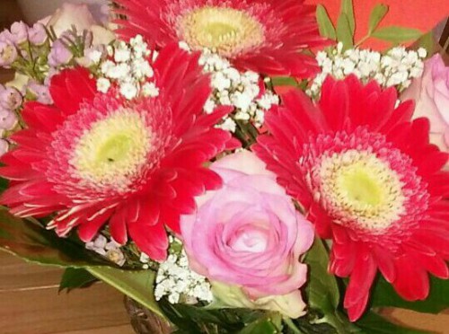 Sie haben sich getraut