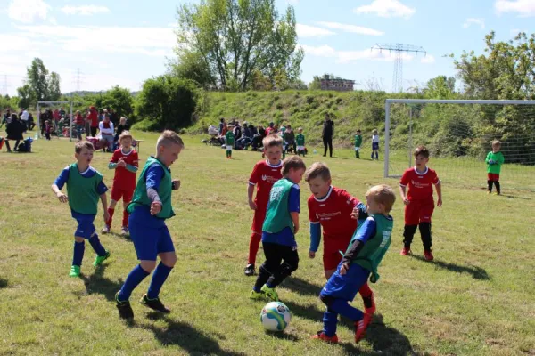 Bambini Rothkegel-Cup 2018