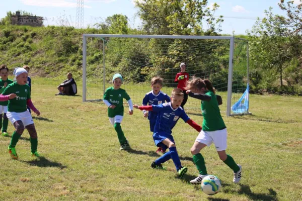 Bambini Rothkegel-Cup 2018