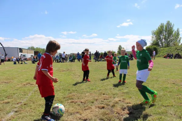 Bambini Rothkegel-Cup 2018