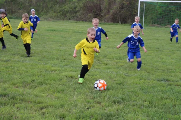 Bambini Rothkegel Cup 2019