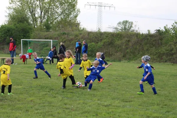 Bambini Rothkegel Cup 2019