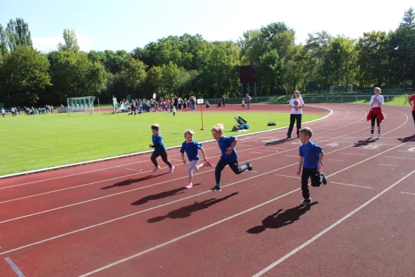 Sportfest Minikids 2019 in Braunsbedra