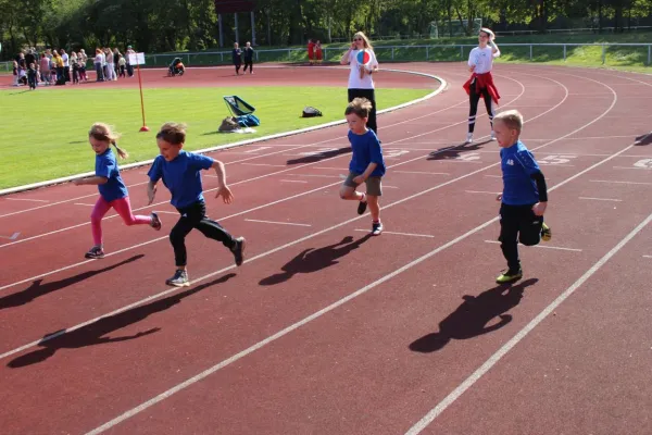 Sportfest Minikids 2019 in Braunsbedra