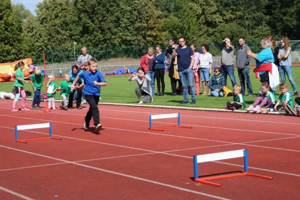 Sportfest Minikids 2019 in Braunsbedra