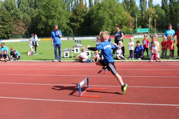 Sportfest Minikids 2019 in Braunsbedra