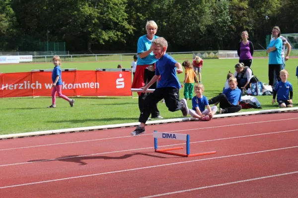 Sportfest Minikids 2019 in Braunsbedra
