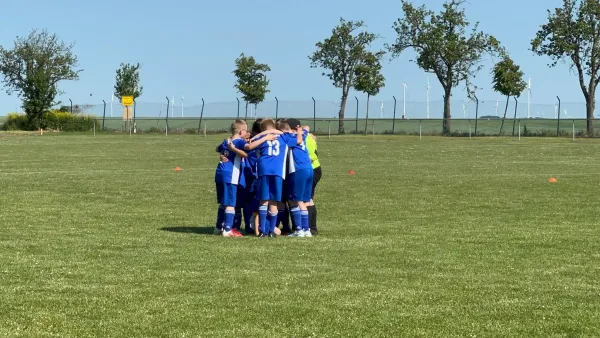 04.06.2023 SV Höhnstedt vs. SV Großgräfendorf