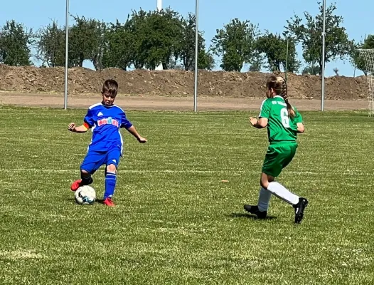 04.06.2023 SV Höhnstedt vs. SV Großgräfendorf