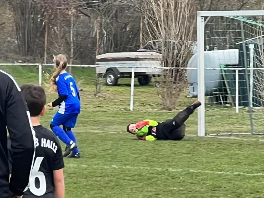 18.03.2023 SG HTB Halle vs. SV Großgräfendorf