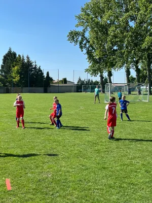 12.05.2024 SV Großgräfendorf vs. SSV Neutz