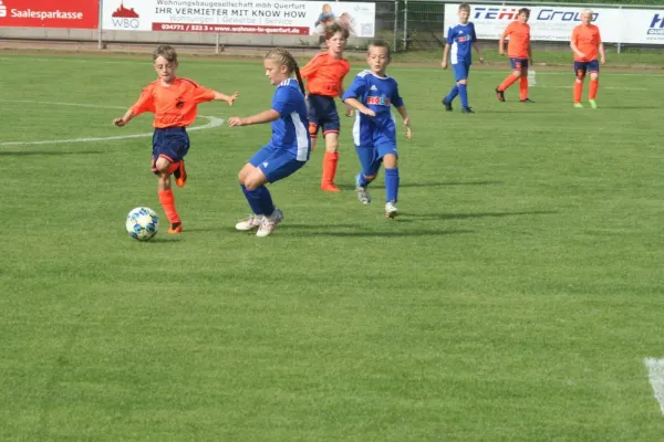 02.09.2023 VfL Querfurt 1980 vs. SV Großgräfendorf II