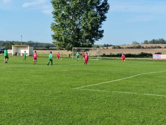 30.09.2023 LSG Lieskau 1920 vs. SV Großgräfendorf