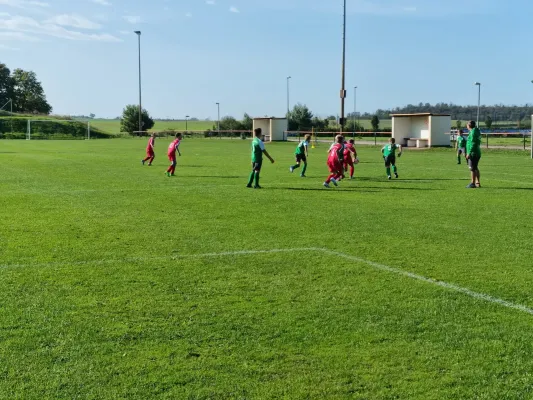 30.09.2023 LSG Lieskau 1920 vs. SV Großgräfendorf