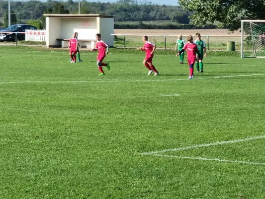 30.09.2023 LSG Lieskau 1920 vs. SV Großgräfendorf