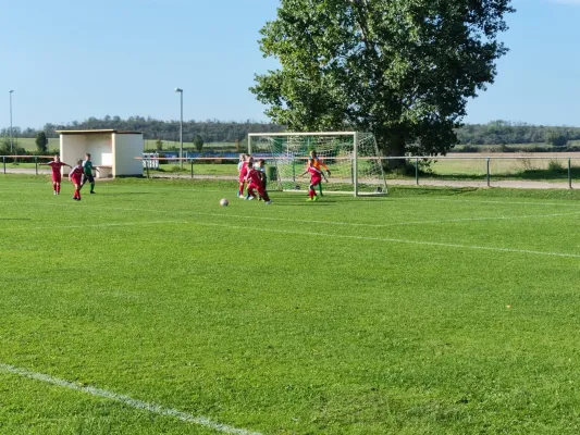 30.09.2023 LSG Lieskau 1920 vs. SV Großgräfendorf