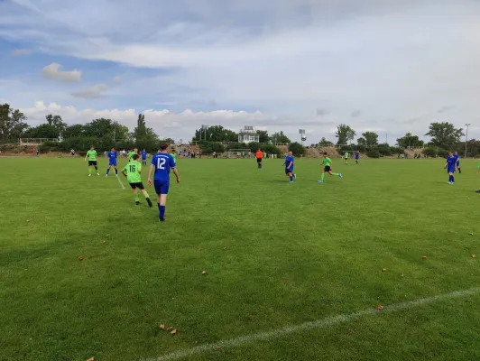 13.08.2023 SV Merseburg 99 vs. SV Großgräfendorf