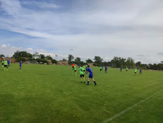 13.08.2023 SV Merseburg 99 vs. SV Großgräfendorf