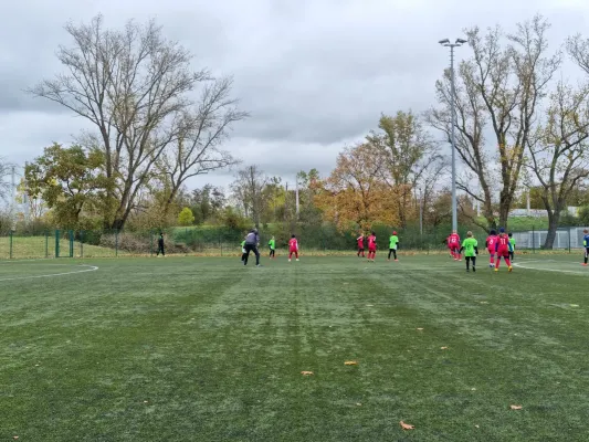 11.11.2023 SV Merseburg 99 II vs. SV Großgräfendorf