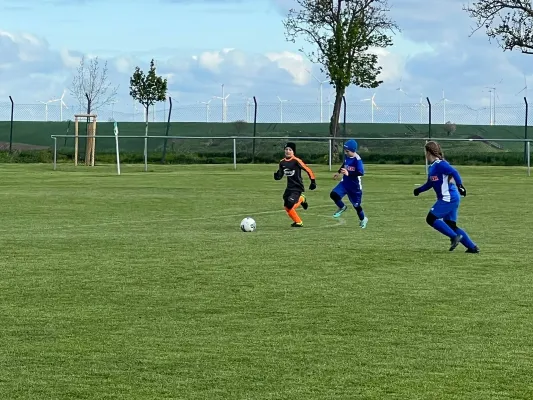 20.04.2024 SV Höhnstedt vs. SV Großgräfendorf II