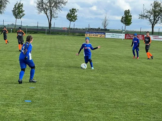 20.04.2024 SV Höhnstedt vs. SV Großgräfendorf II