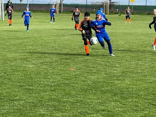 20.04.2024 SV Höhnstedt vs. SV Großgräfendorf II
