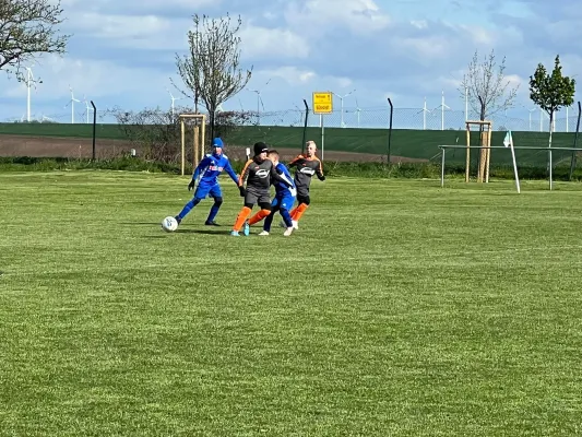 20.04.2024 SV Höhnstedt vs. SV Großgräfendorf II