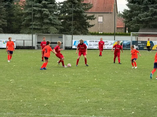25.08.2024 SV Großgräfendorf vs. VfL Querfurt 1980