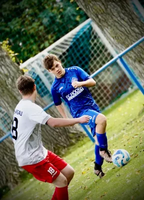 31.10.2024 SV Großgräfendorf vs. JSG Spergau/Tollwitz