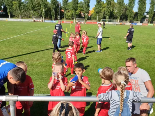 22.09.2019 KFV Fußb. Saalekreis vs. SV Großgräfendorf