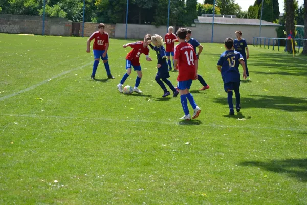 24.05.2025 SV Großgräfendorf vs. NFC Landsberg II
