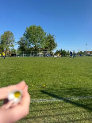 27.04.2025 SG Großkugel/Raßnitz vs. SV Großgräfendorf