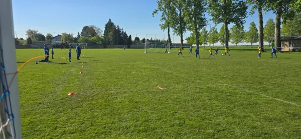 26.04.2025 SV Großgräfendorf IV vs. SV Großgräfendorf III