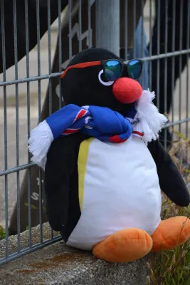 13.09.2025 Querfurt/Langeneich. vs. SV Großgräfendorf II