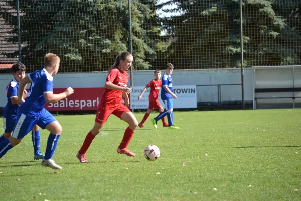 20.09.2025 SV Großgräfendorf II vs. SV BW Farnstädt