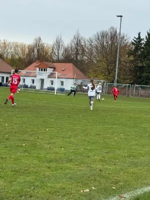 02.11.2025 SV Großgräfendorf vs. SV BW Farnstädt