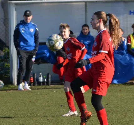 22.11.2025 SV Großgräfendorf vs. SV Merseburg 99 II
