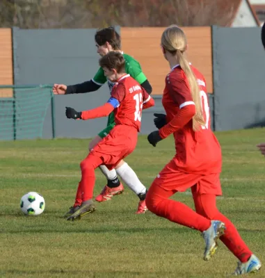 30.11.2025 Langeneichstädt/Qu. vs. SV Großgräfendorf