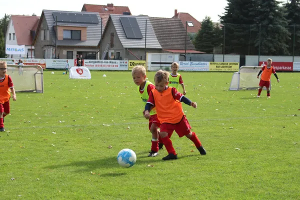13.09.2025 KFV Fußb. Saalekreis vs. SV Großgräfendorf