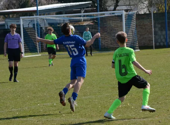 22.03.2026 SV Großgräfendorf vs. SG Salzatal