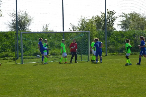 25.04.2026 TSV 1910 Niemberg vs. SV Großgräfendorf II