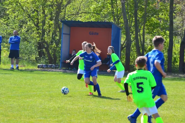 25.04.2026 TSV 1910 Niemberg vs. SV Großgräfendorf II
