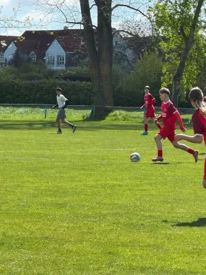 26.04.2026 SV Meuschau vs. SV Großgräfendorf