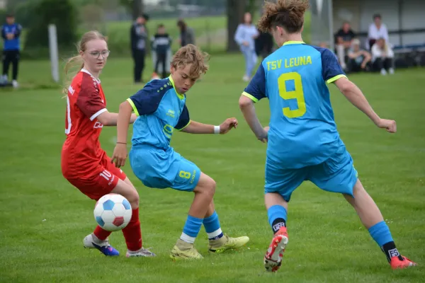 10.05.2026 TSV Leuna 1919 vs. SV Großgräfendorf