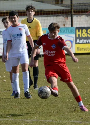28.02.2026 SV Großgräfendorf vs. SG Einheit Halle