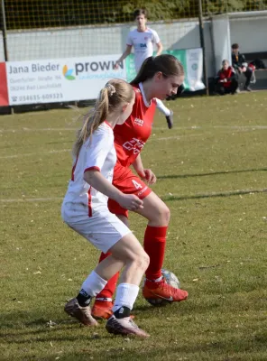 28.02.2026 SV Großgräfendorf vs. SG Einheit Halle