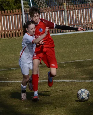 28.02.2026 SV Großgräfendorf vs. SG Einheit Halle